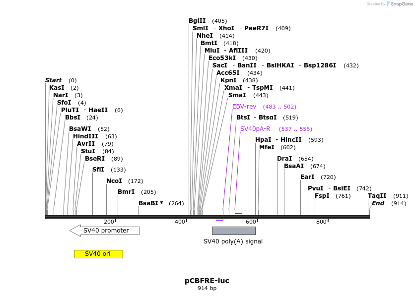 33121_map