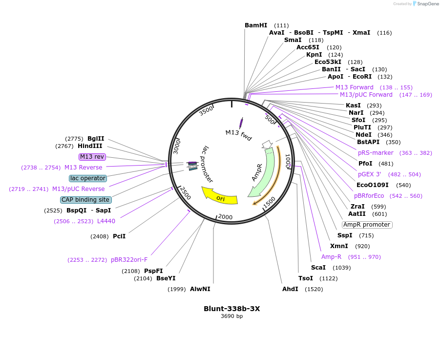 331249_map