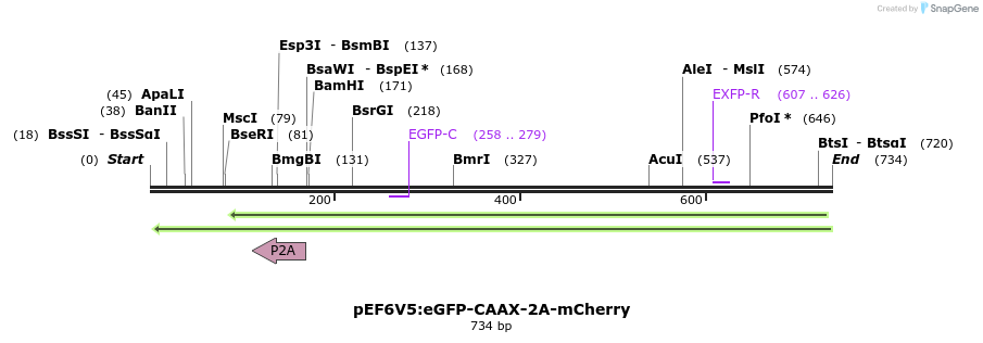 33126_map