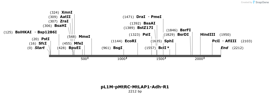 331278_map