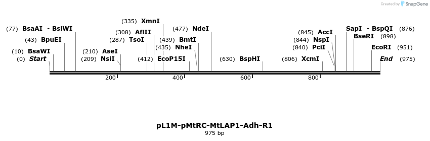 331279_map