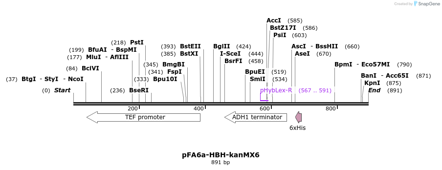 33128_map