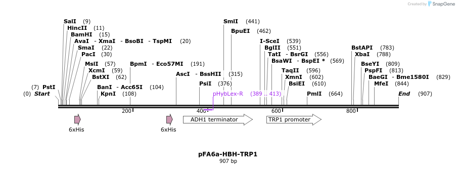33130_map