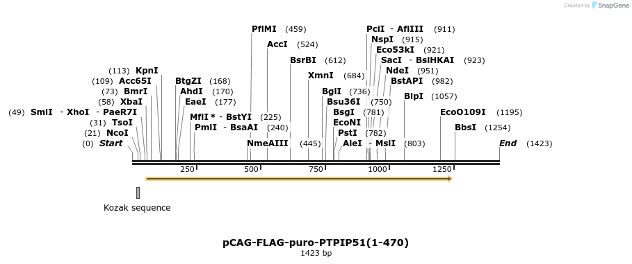 331308_map