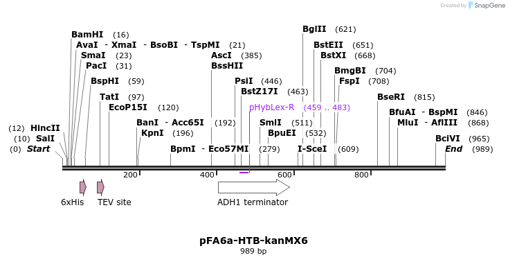 33131_map