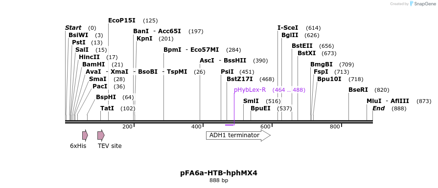33132_map