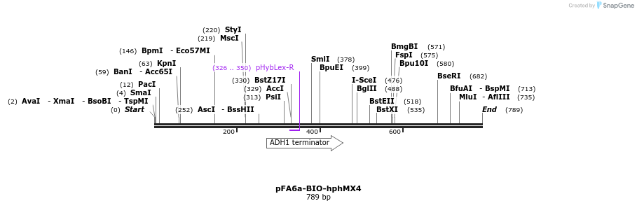 33135_map