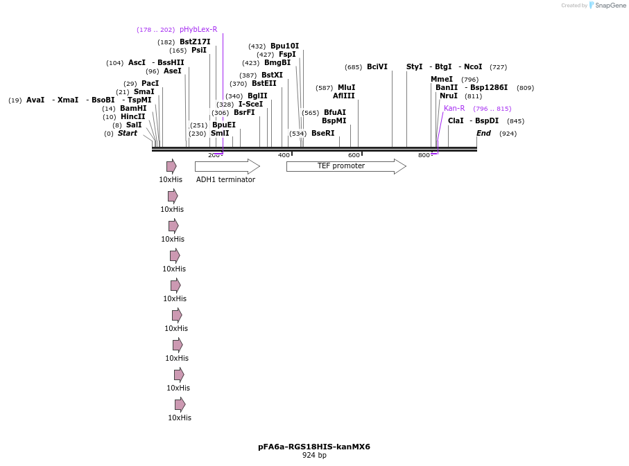 33137_map