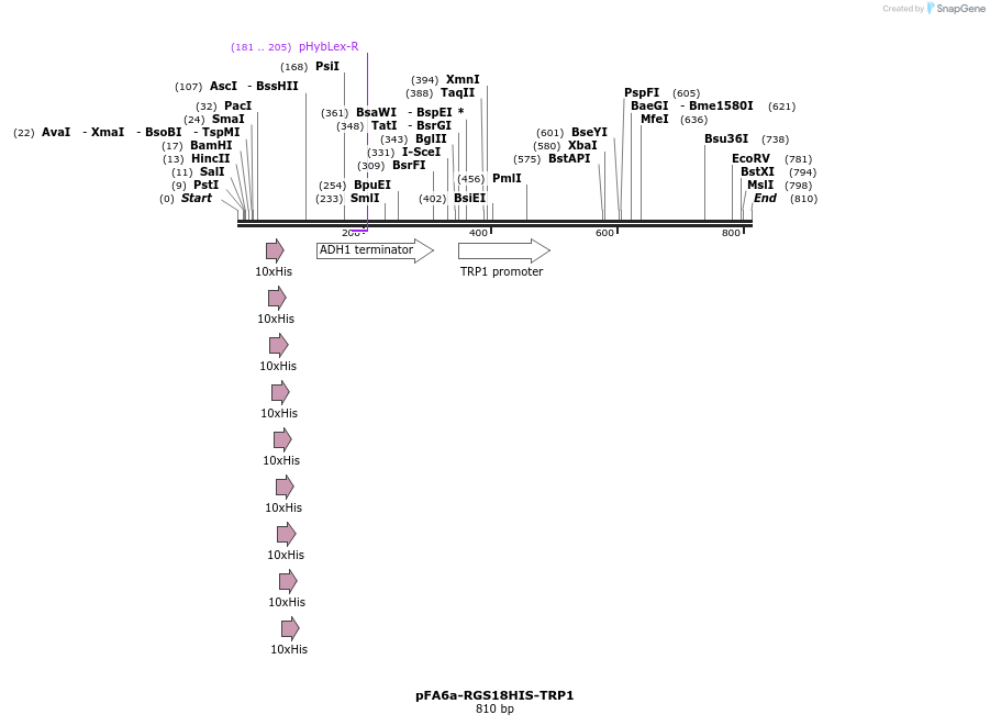 33139_map
