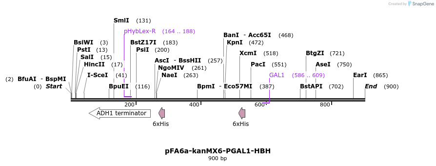 33140_map