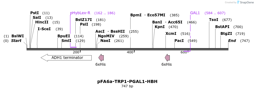 33142_map