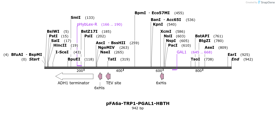 33145_map