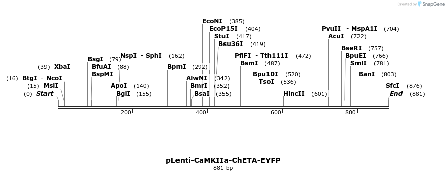 33153_map