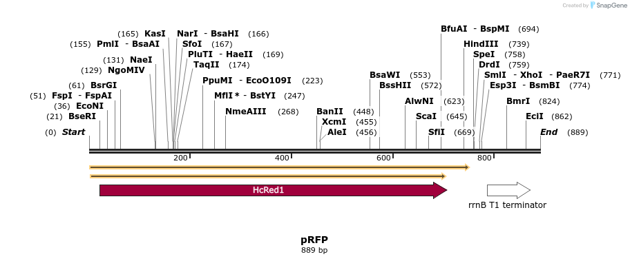 33170_map