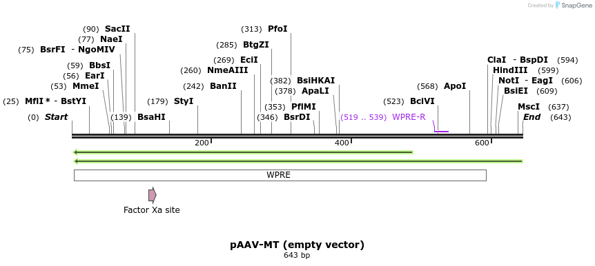 33173_map