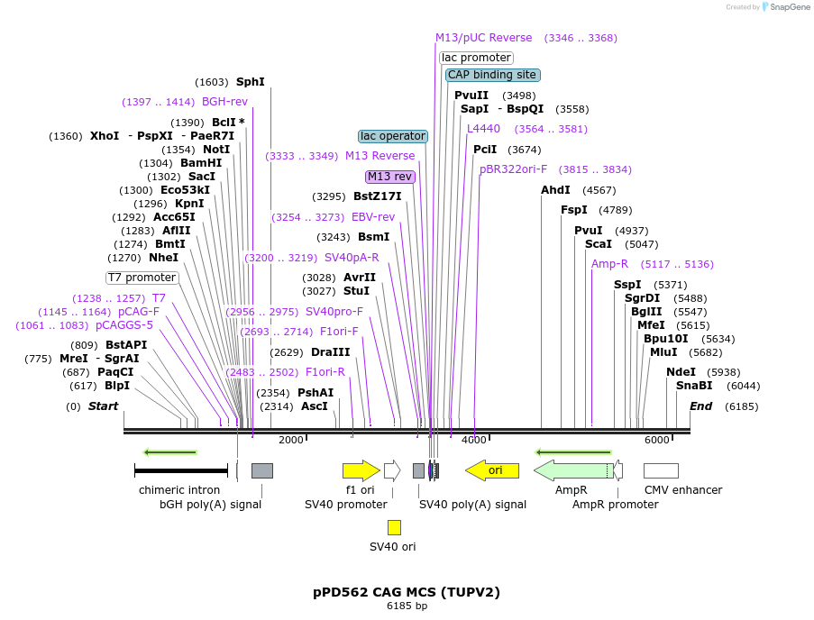 331736_map