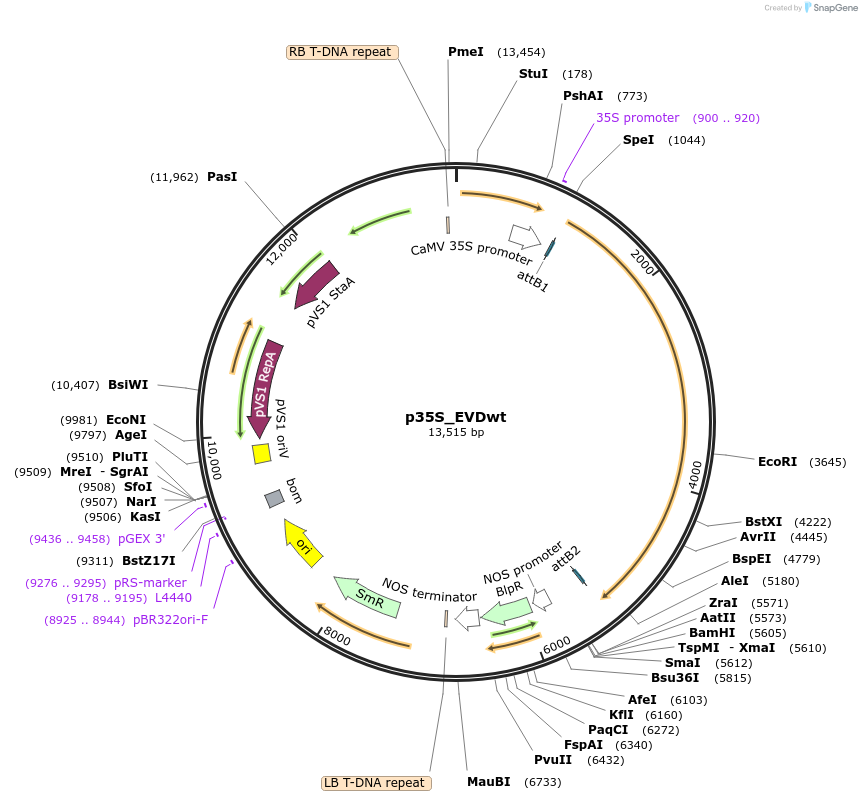331750_map