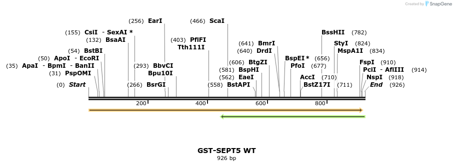 33182_map