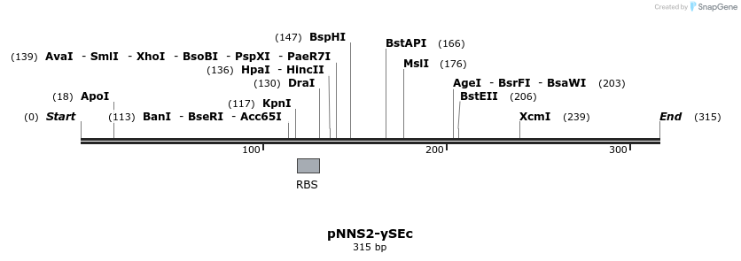 33191_map
