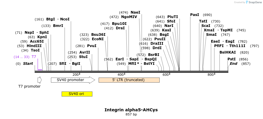 33197_map