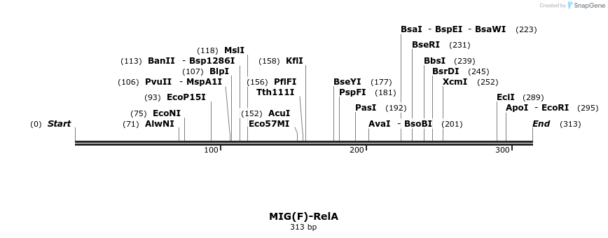 33199_map