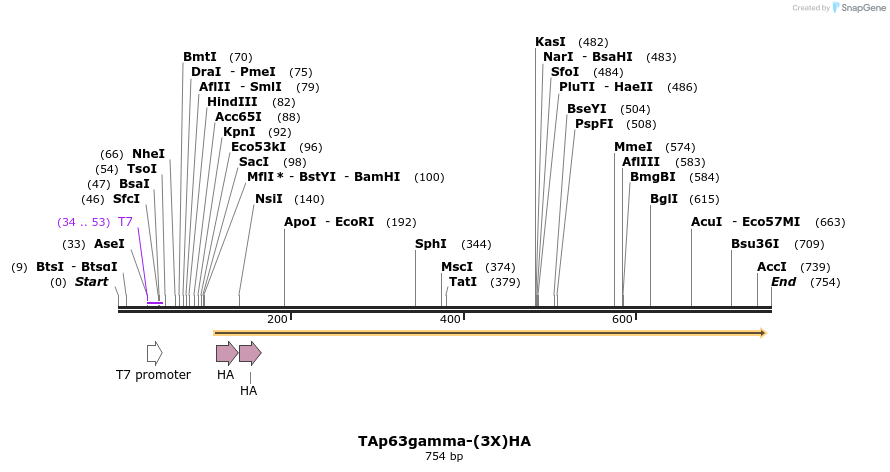 33201_map