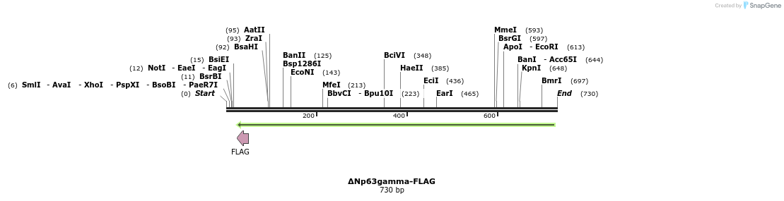 33206_map