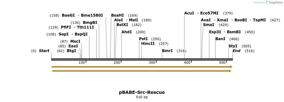 33210_map