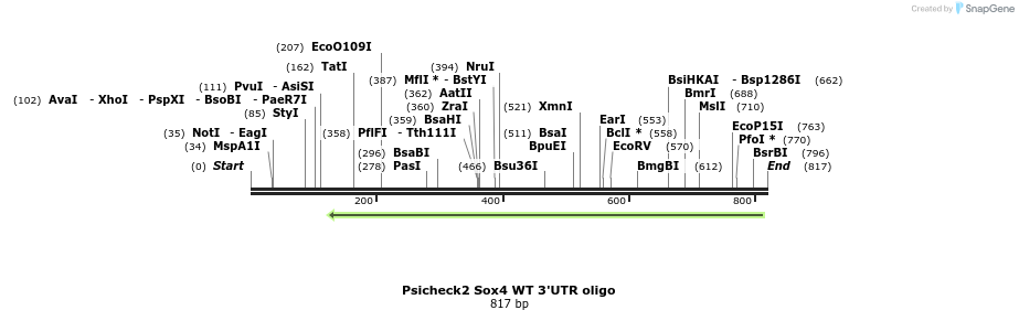 33215_map