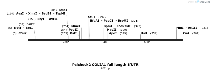 33218_map