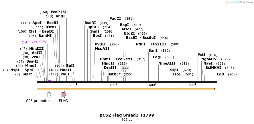 33222_map