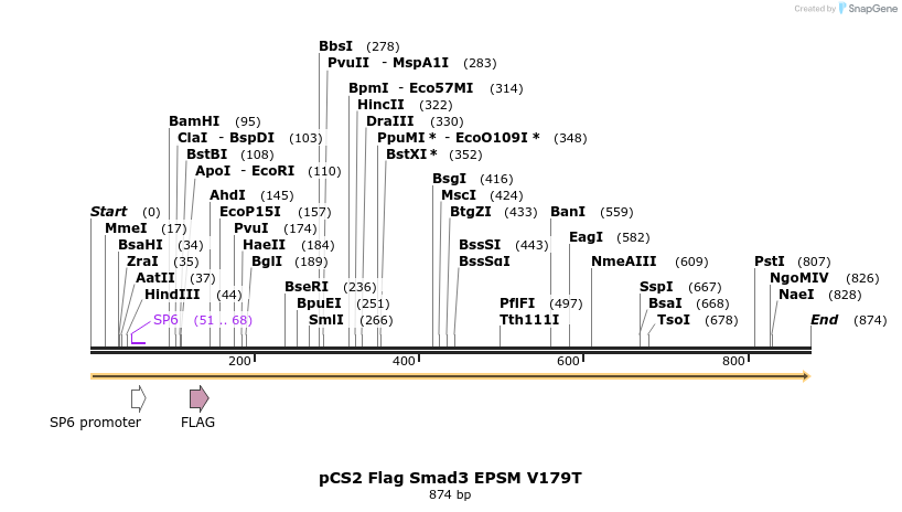33224_map