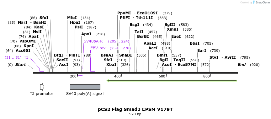 33225_map