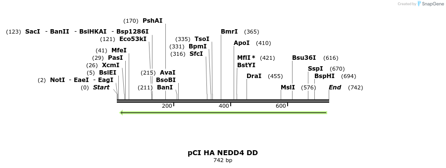 33226_map