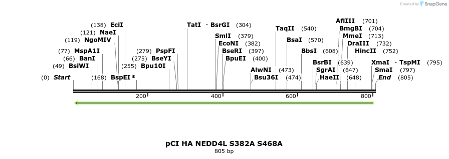 33233_map