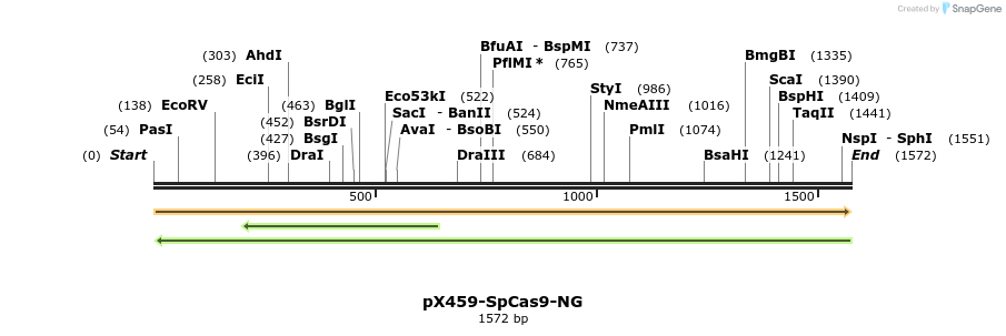 332336_map