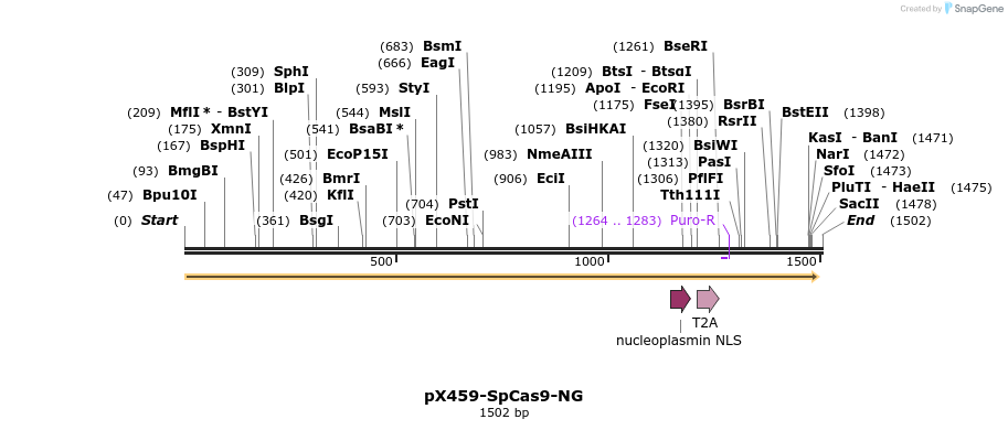 332337_map