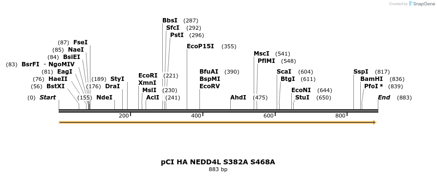 33234_map