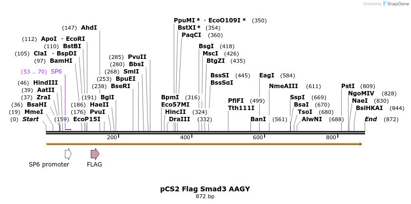 33236_map