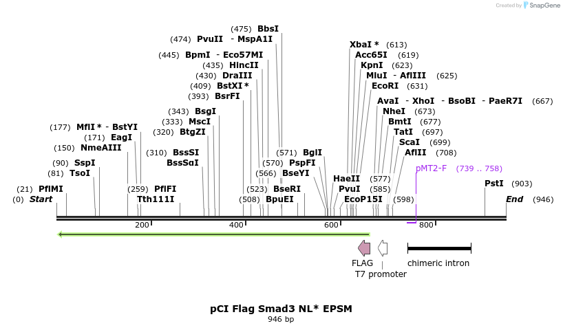 33238_map
