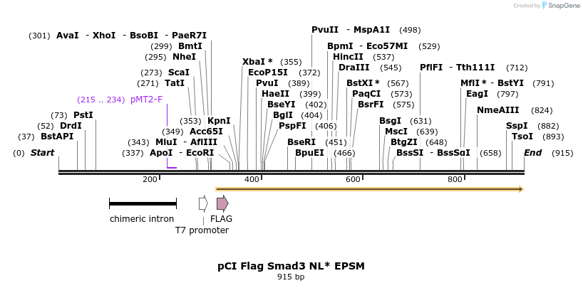 33239_map