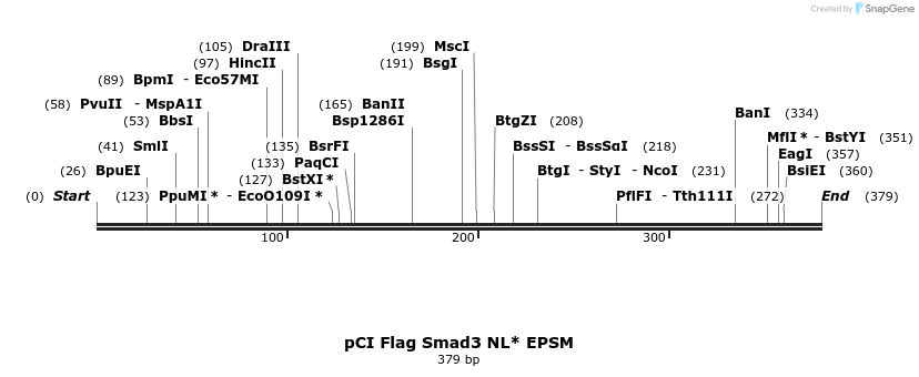 33240_map