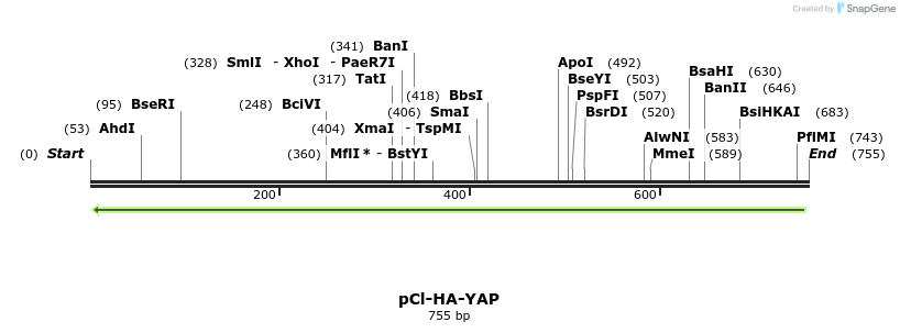 33242_map