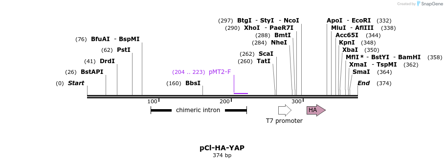 33243_map