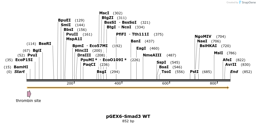 33244_map