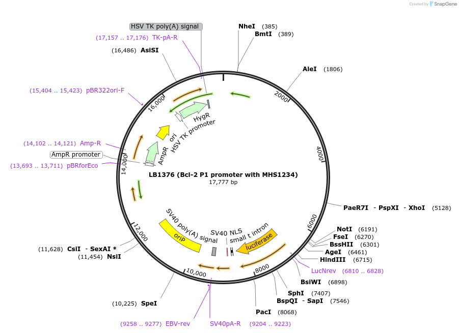15387-plasmid-map-sequence-id-332450