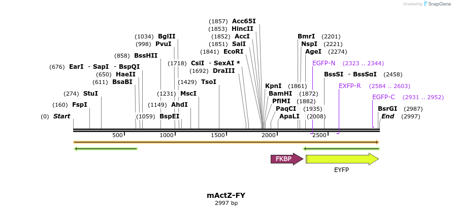 332484_map