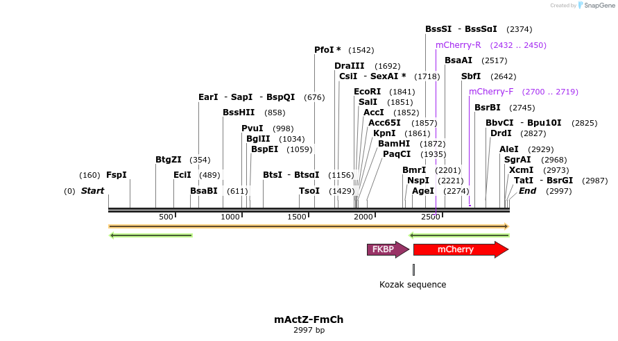 332485_map