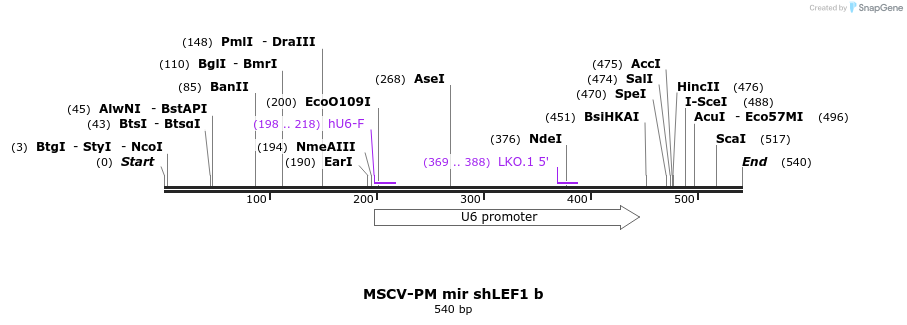 33251_map