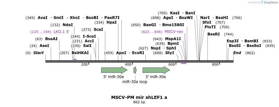 33252_map